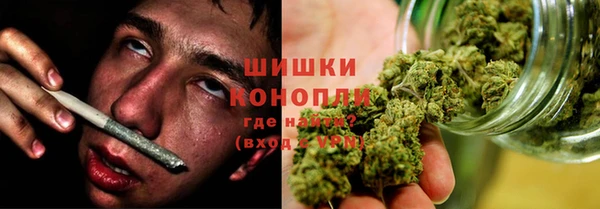 PSILOCYBIN Осташков