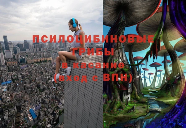 мяу мяу мука Осинники