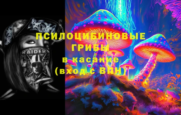 мяу мяу мука Осинники