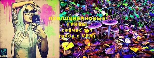 PSILOCYBIN Осташков