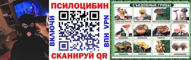 Псилоцибиновые грибы ЛСД Медынь
